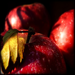 apple1.jpg