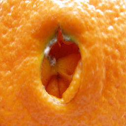 orange1.jpg