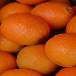 orange2.jpg