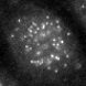 Centromere.png