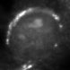 Golgi.png