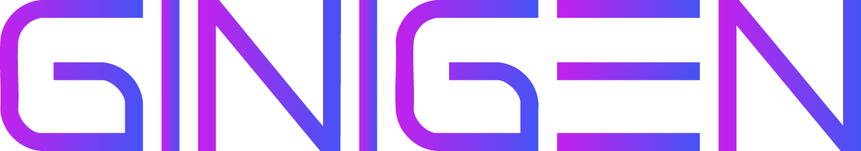 GiniGen