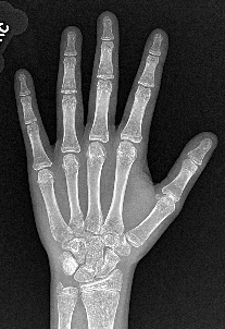 cropped_hand.png