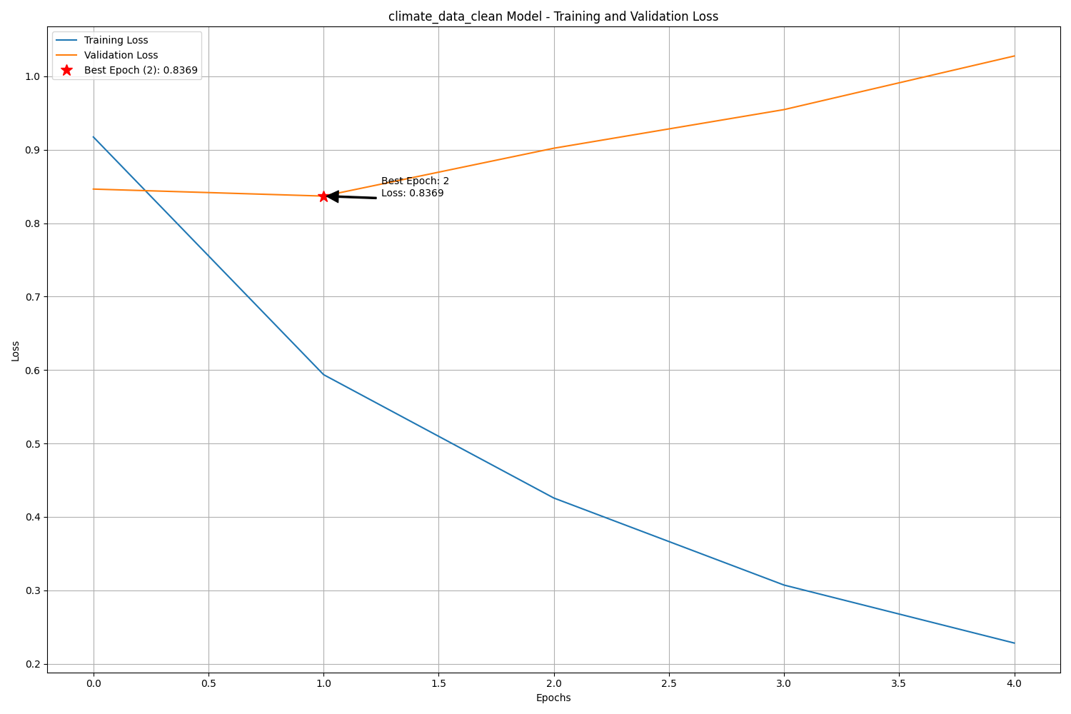 Loss Curves