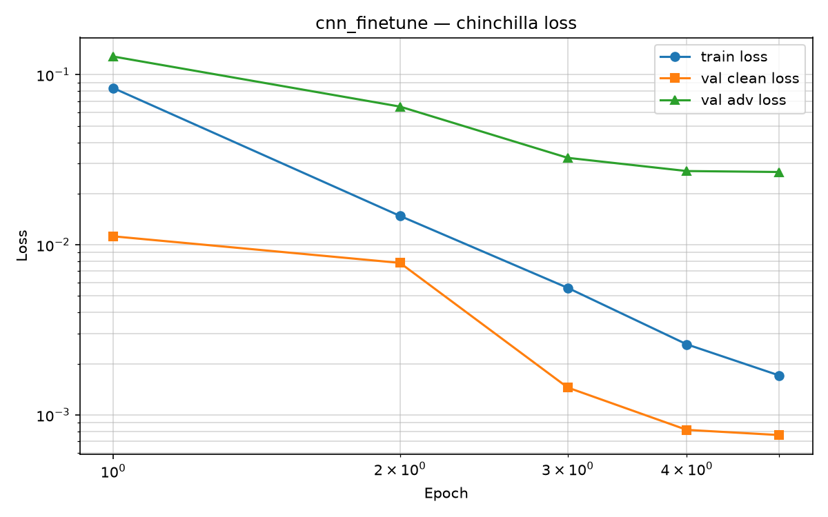 cnn_finetune_loss_chinchilla.png