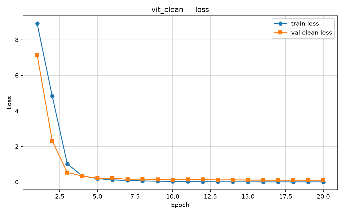 ViT clean training loss