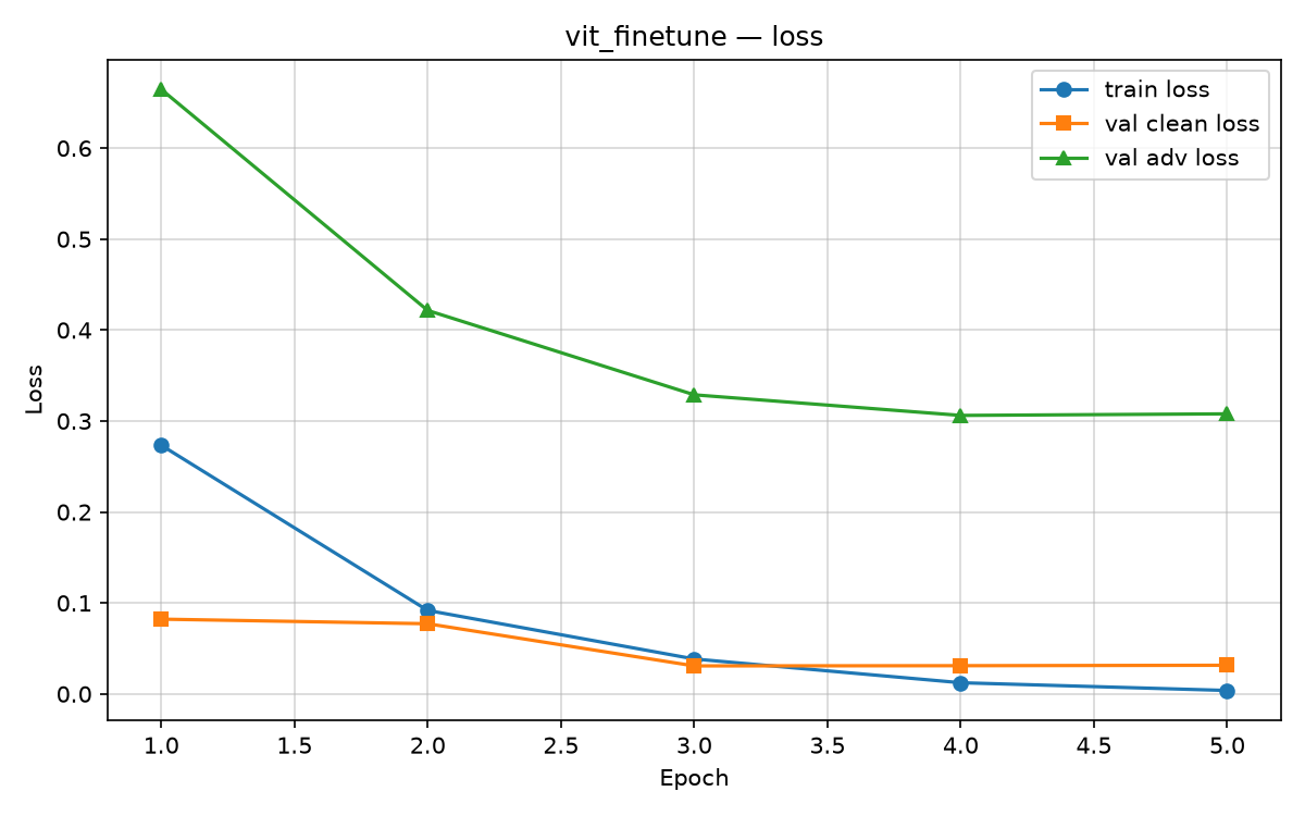 ViT fine-tune training loss