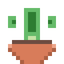 cactaceae.png