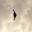 Target_airplane_Pred_bird_26.jpeg