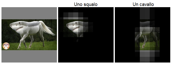 cavallo_squalo.png