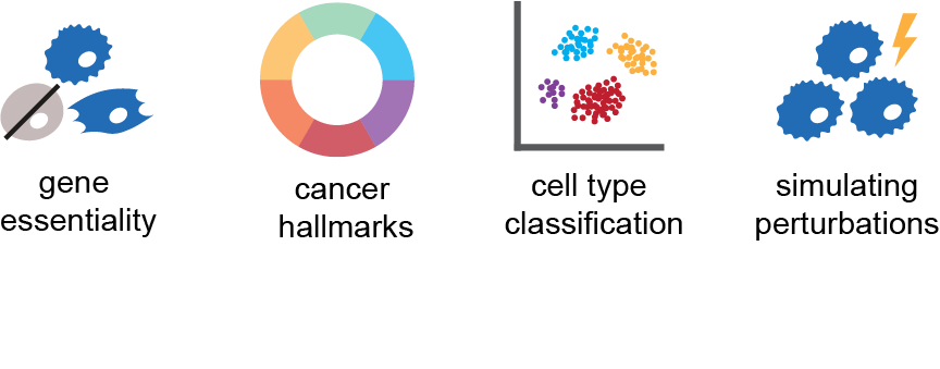 abstract_logo_light_mode.png